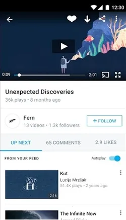 Vimeo2025�ٷ�����