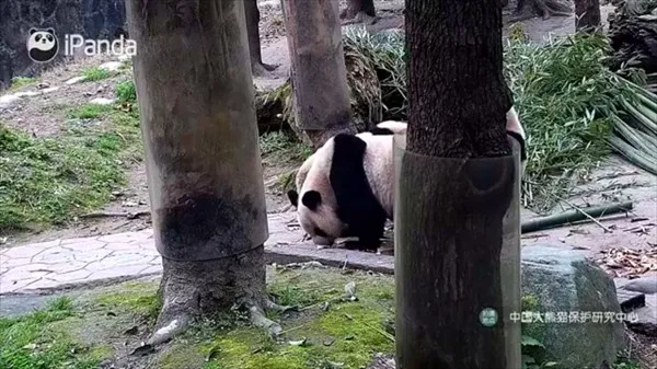 ��������(Ӱ��ֱ������)