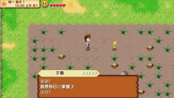 ����������������2026���°汾