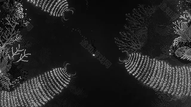 ����2026�ٷ����°汾