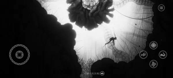 ����2026�ٷ����°汾