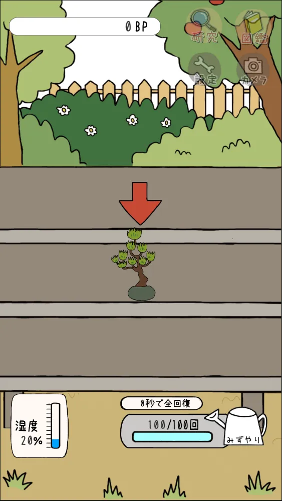 ���Դ�ʦ