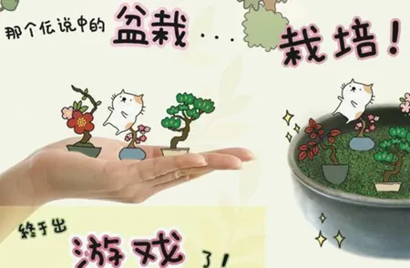 ���Դ�ʦ2026���°汾