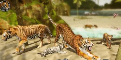 �ռ��ϻ�ģ����2