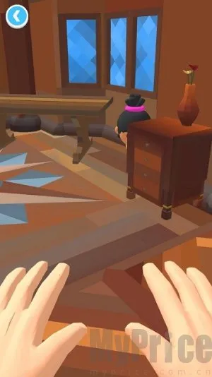 ����С���������ֻ���