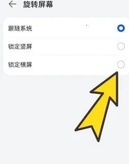 ��������޹��������ֻ���