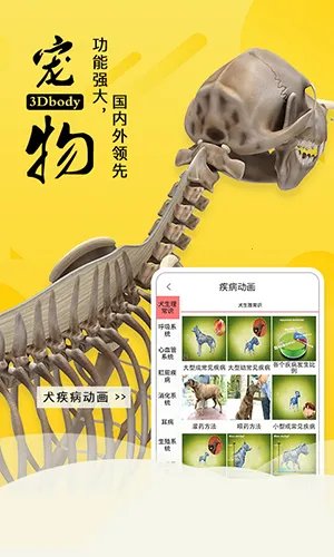 3Dbody����