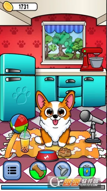 corgi��������