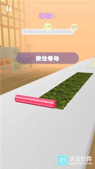 Sushi Roll