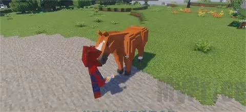 �ҵ�������Ȼ֮��2026�ٷ�����