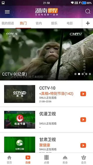 ����IPTV