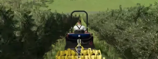 ģ��ũ��23��������ģ��