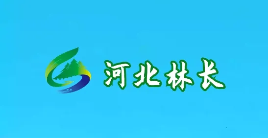 �ӱ��ֳ�