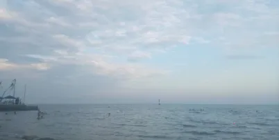 �ǻۺ�����׿���ֻ���