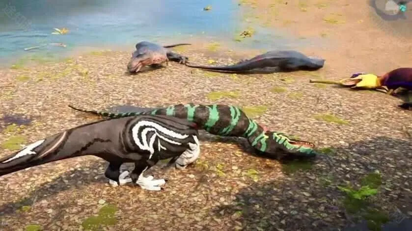 ���������ֻ�������