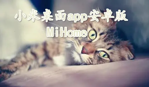 С�����������ֻ���