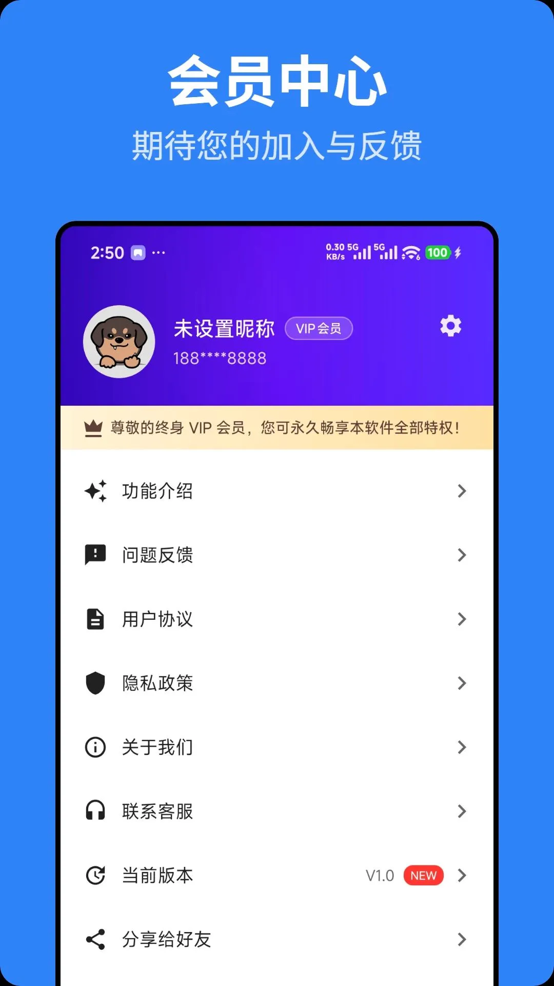 ��ӥ��������