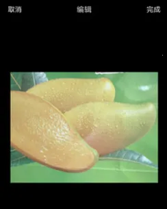 �������(������������)