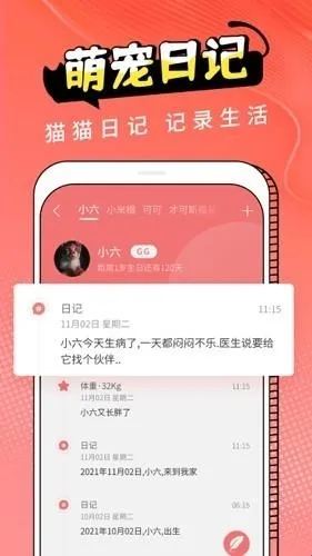 Cat Translation2026���°汾