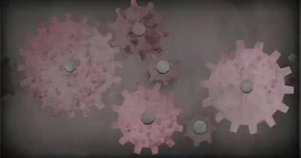 ������԰2�����˵�