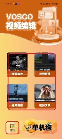 vscopro2026���°汾