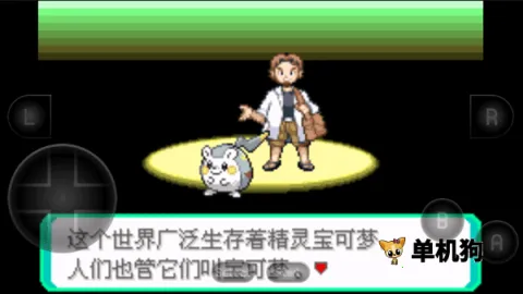 �����ξ����̱�ʯ2026���ذ�װ