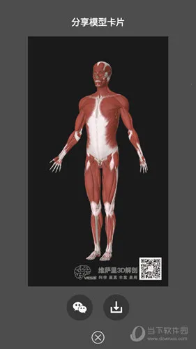 维萨里3D解剖安卓版手机版 维萨里3D解剖安卓版手机版