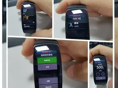 FitPro22026���°汾