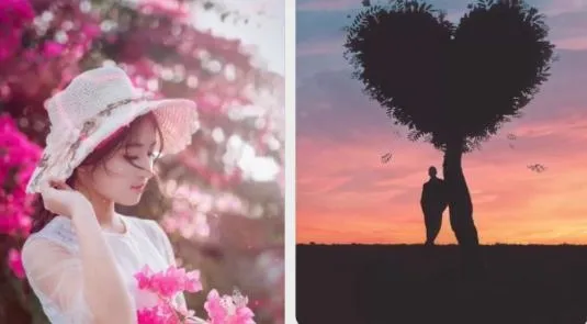 һ����ͼ�������ֻ���