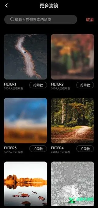 Dazz���2026���°汾