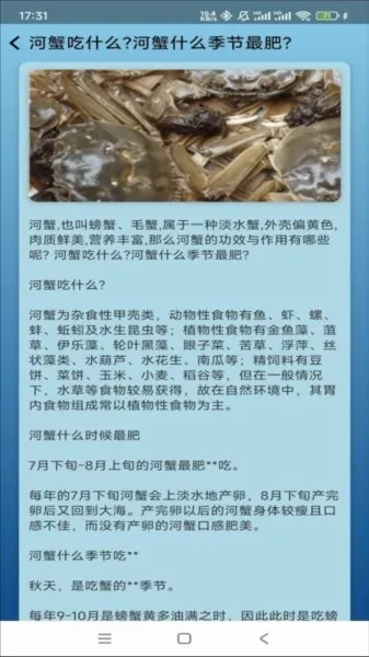 �����ֳ�����ֻ���