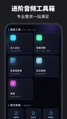 ������ȡAudio��������