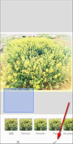 BetterSeed�����ֻ���