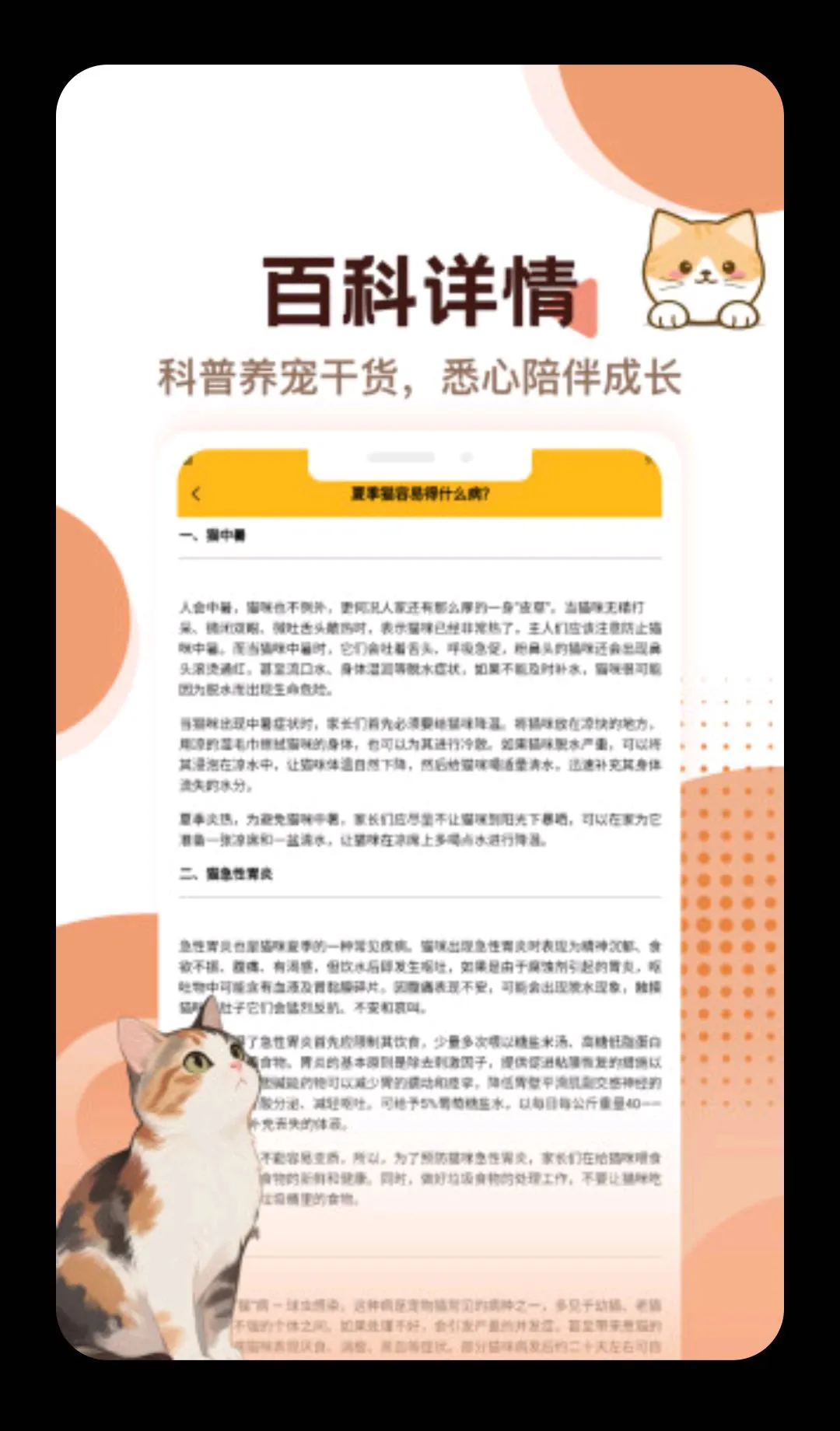 èè����2026���°汾