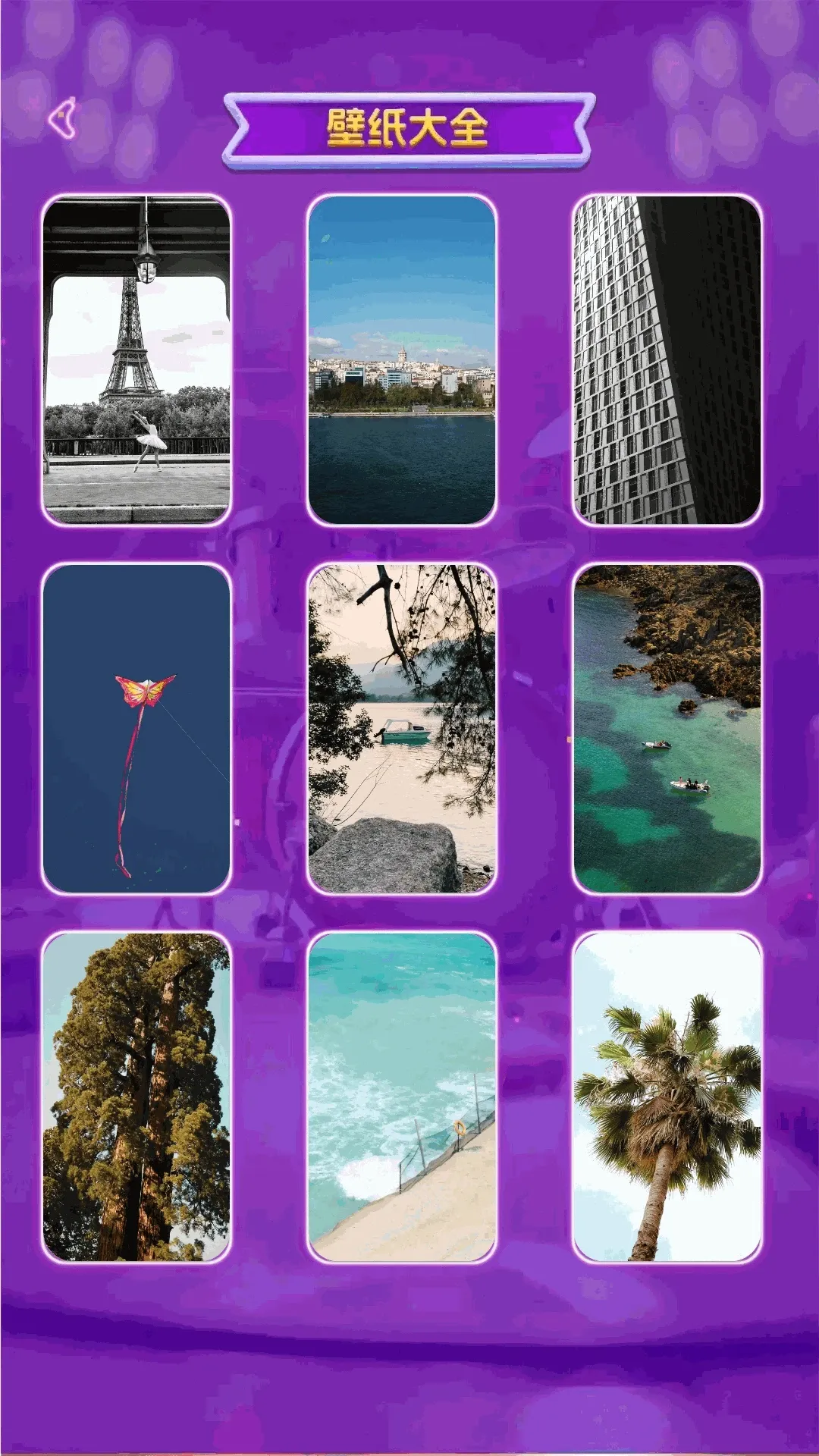 ��������APP